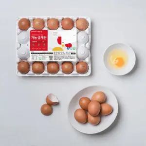 [당일산란 당일발송] 가농 1+등급 무항생제 초란 40구 HACCP 인증 계란 달걀)