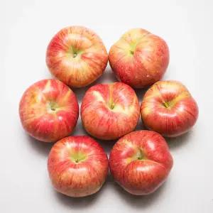입안과즙가득 경북 빨간 사과 3kg 9~13과외/중과/가정용(실속형)/미색 상처과