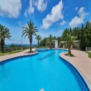 [제주] 웨이브 제주 호텔 앤 리조트(제주호텔/제주웨이브 제주 호텔 앤 리조트)