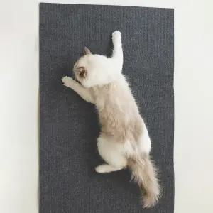 소파냥 붙이는 소파보호 고양이 스크래처 2m x 40cm