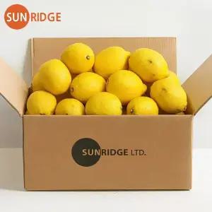 썬리지 직수입 레몬 중소과 4kg 7kg 대용량 못난이