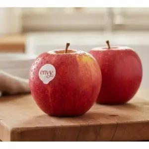 동명 상큼아삭 국산 예산 envy 엔비 사과