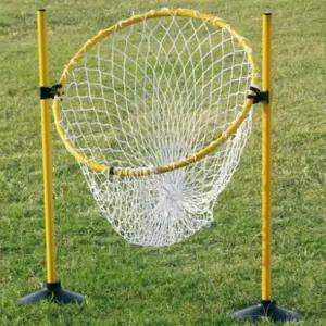 다우리 플라잉디스크 골대 운동회 원반던지기 골망 중