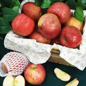 안동 부사 사과 10kg 랜덤소과 못난이사과 꿀사과 햇사과 햇부사 사과 안동사과 껍질