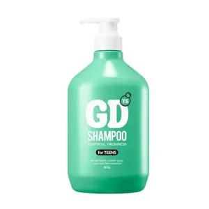 [TS 티에스] TS지디샴푸빅 800g