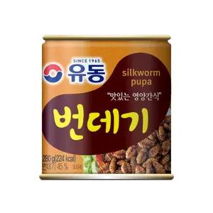 유동 번데기 280g 20개