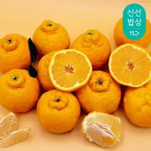 [과일꾼] 제주 청정 그대로 당도보장 한라봉 정품 2kg 5-12과