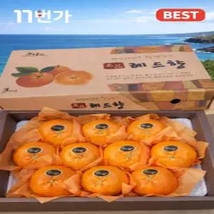 우리동네먹거리 제주 산지 레드향 고당도 선물세트 설날