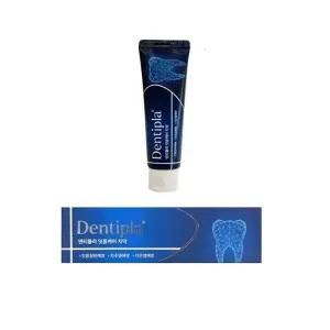 덴티플라 잇몸케어 치약 100g 1개