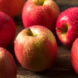 후회 X 최고급 고당도 노마진 부사사과 5kg 중과 A급 상품 가정용 사과 아삭 달콤