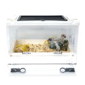 앵무새 소동물 이유식 새장 만능 육추기 용품