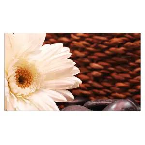 LG전자 OLED65B5ENA 올레드 4K TV 벽걸이형 전국추가비용없음 대성가전