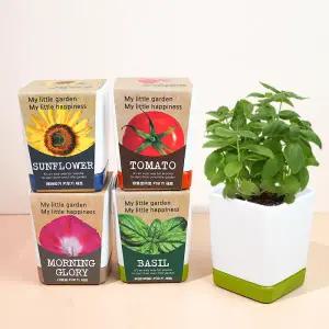 아트박스/꿈쟁이 꿈쟁이 투톤사각화분 식물기르기 (4종택1)