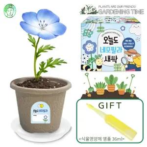 [식물영양제선물]오늘도 새싹 - 지피포트 네모필라 키우기 / 모종 원예체험 재배 식물키우기
