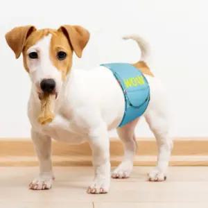 국내 애견 수컷 숨쉬는 매너 벨트 강아지 기저귀/일회용/전용/실내/청결/요실금/실외/반려견/배변/소변