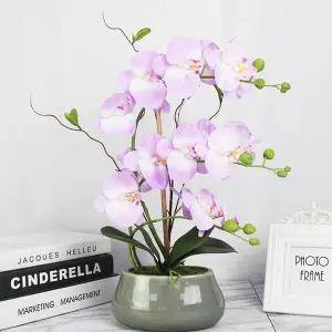 [라미컴퍼니]조화 호접란 인테리어 화분 소품 인조꽃 화이트 서양난 생화같은 중 서양란 조화꽃 꽃