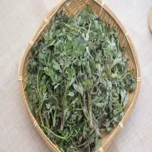 여수 거문도 해풍 맞고 자란 노지 생쑥 2kg