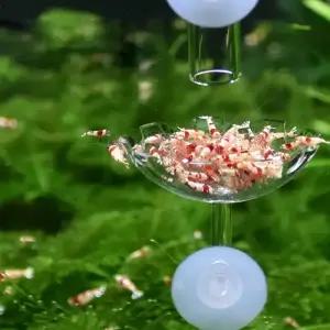 수족관 어항 새우 먹이 공급기 투명 유리 공급 튜브 접시 흡입 공기 그릇 피더 트레이