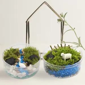 뚝딱 깃털이끼 테라리움 1인 만들기 꾸미기 교구 재료