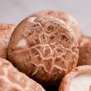 더맛상 국내산 최고급 화고 생표고버섯 가정용 2kg 1박스