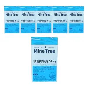 마인트리 루테인지아잔틴 24mg 30캡슐 x 6박스