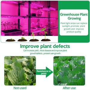 1-5m 5V USB LEDPlant 빛 성장 LED 스트립 온실 꽃 모종 텐트 수경법에 대 한 전체 스펙트럼 방수 칩