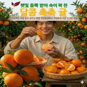 제주 햇살 서귀포 고당도 조생 귤 첫출하, 5kg[중대과) 1박스 감귤 중대 5kg