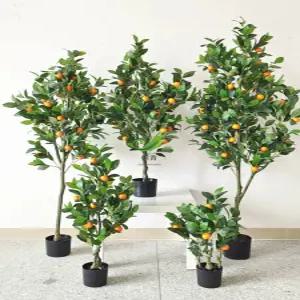 특대형 낑깡나무 조화 유주나무 귤나무 금귤 대형