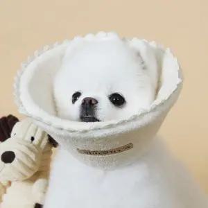 초코펫하우스 강아지 넥카라 목 보호대 깔대기 오가닉 레이스 1개 MNS