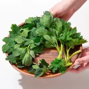 [미식한가] 여수 금오도 제철 방풍나물 4kg