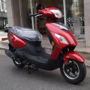 하우주 U100 스타일리쉬 스쿠터 / 여성용 입문자용 / 출퇴근용