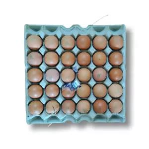 시골아빠 훈제 맥반석 구운계란 중란 30구