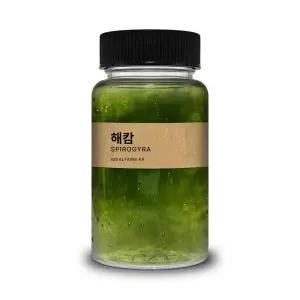 관찰생물 해캄 100ml