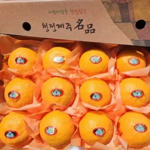 제주 고당도 카라향 3kg 선물용