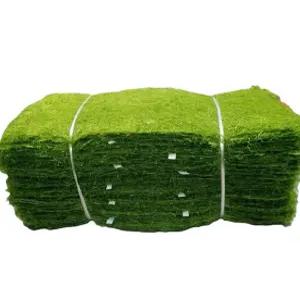 국내 청정 갯벌 재래식 햇 생감태 100장