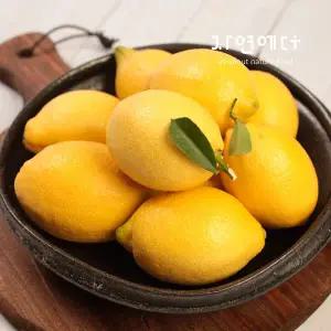 [자연에더]제주 표선농협 국내산 레몬 4.5kg