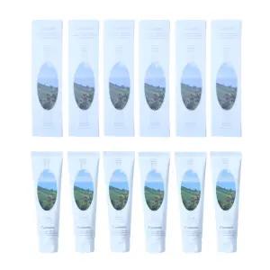 칸디데 미백치약 6개 100g 세트