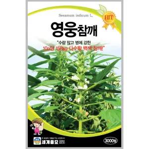 영웅참깨씨앗 3천립