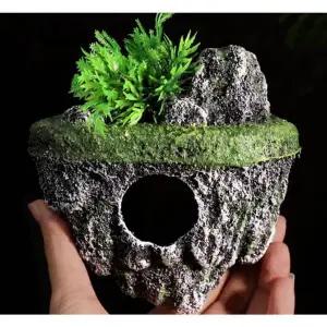 [콩심팥심]TBZ 어항 수족관 섬 장식 아일랜드 동굴 인공수초