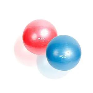[바디아트] 대만산 프리미엄 안티버스트 짐볼 55cm 요가