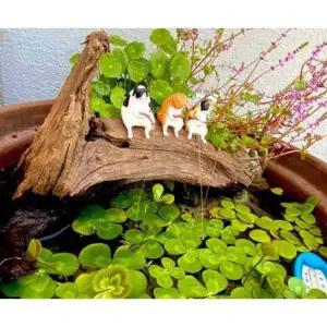 [셀러에이드]TBZ 미니어처 고양이 장식 어항 꾸미기 수족관