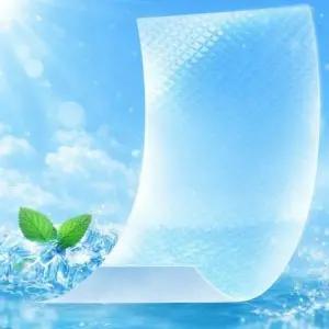 ( )일회용 쿨패치 냉각 시트 패치 냉찜질 쿨링 패드 2매