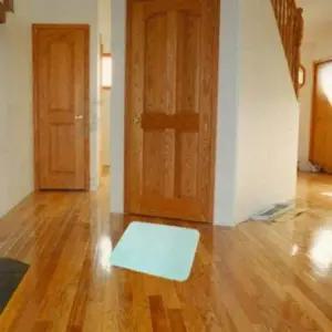 발건강 소형 발 물먹는 대형 규조토 발매트 중형