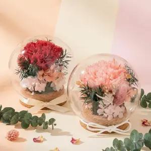 아이두 DIY 어버이날 카네이션 글래스볼 미니 테라리움 만들기 키트 (조화)
