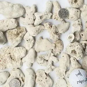 10kg 수조 조경돌 어항 장식용 바닥재 수족관 조경석