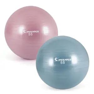 아이워너 안티버스트 파스텔 짐볼 55cm