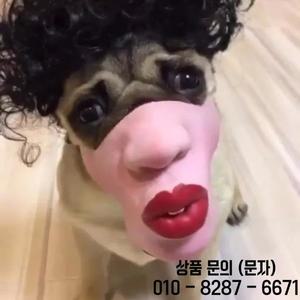 웃는 입술이 큰 재미있는 강아지 가면 틱톡 영상용 코믹한 애완동물 의상 소형 및 중형견용 조절 가능한 부