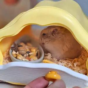 [콩심팥심]구름형 햄스터 관찰존 은신처