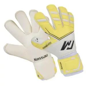 풋살키퍼글러브 낫소 이운재 마스터 골키퍼 장갑 블루 축구 글러브 1P