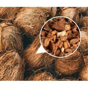 코코넛바크 3L 코코칩 도마뱀 파충류 소라게 코코허스크 바닥재 사육장바닥재 코코넛 바크 3L -1개 A1